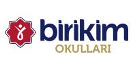 Birikim okulları